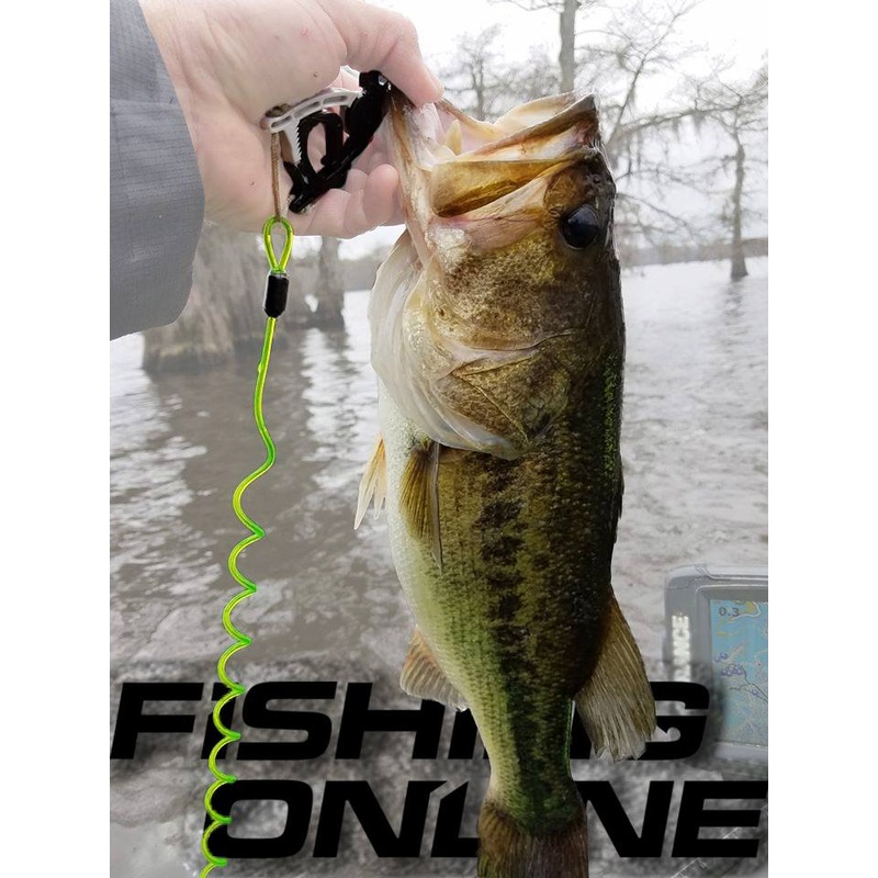 TackleWorkz (Cal Coast Fishing) Donkey Leash Catch Keeper