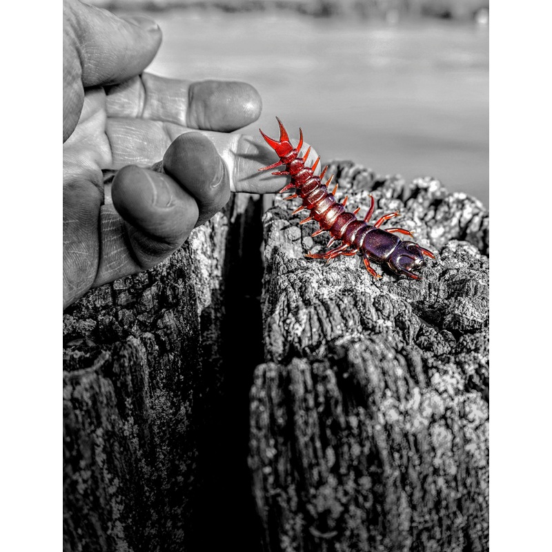 Case Large Hellgrammite|Black|Black Neon|Black Shad|Bloody Bug|Bright White|Chartreuse Pumpkin|Frog Orange|Green Frog|Green Pumpkin|Green Pumpkin UV|Natural|Pumpkin Seed|Red Shad|Smoke Pepper|Smoke Purple|Watermelon Red