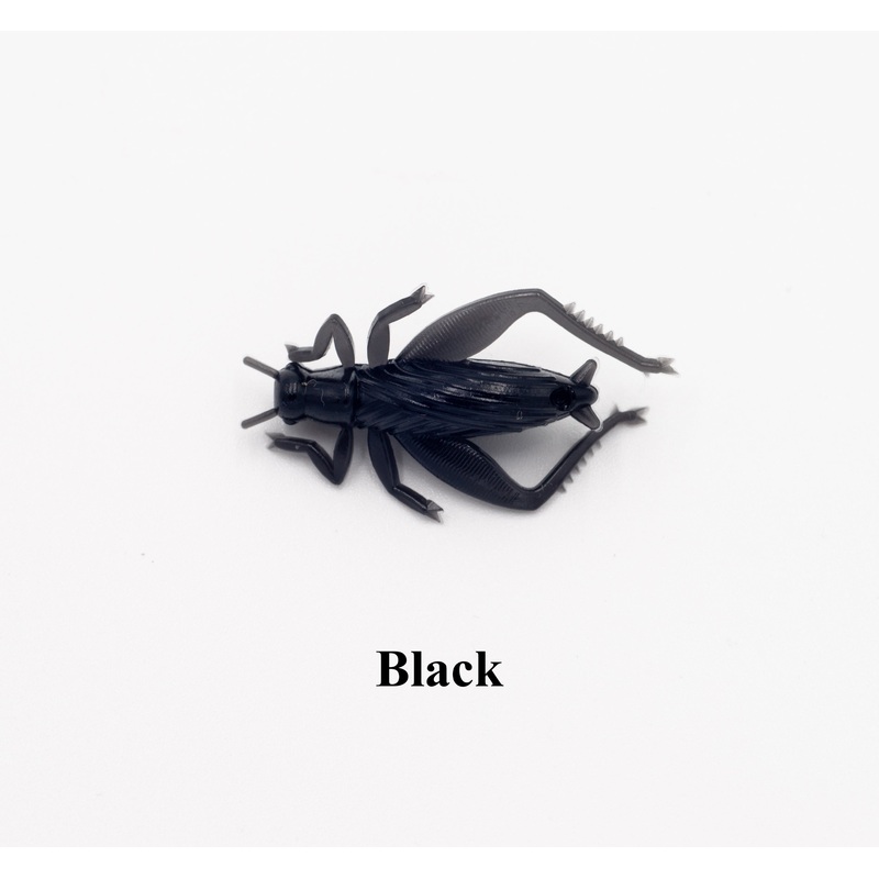 Case Magic Cricket|Black|Black Yellow|Natural|Pumpkin Seed