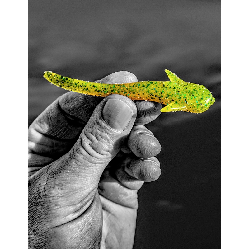 Case Salted Mad Tom|Black|Green Pumpkin|Green Pumpkin UV Added|Green Pumpkin Gold|Mustard Chartreuse|Natural|Pearl Hologram|Pumpkin Seed|Root Beer Green Flake|Smoke Red|Watermelon