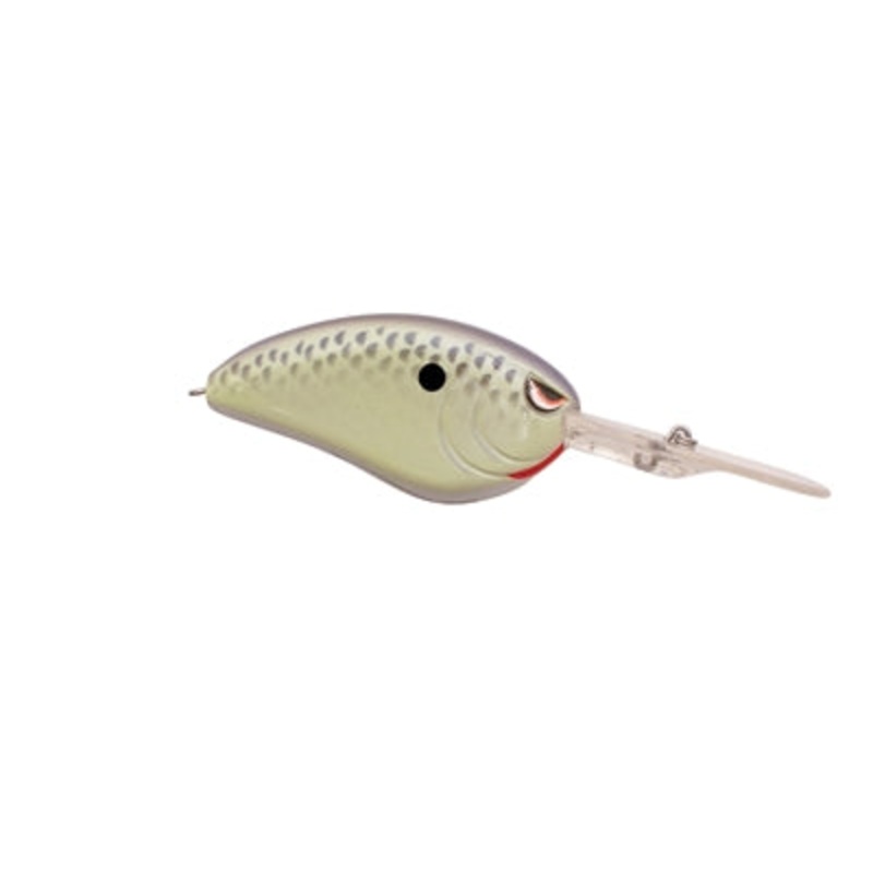 SPRO Little John DD 70|Cell Mate|Root Beer Chartreuse|Nasty Shad