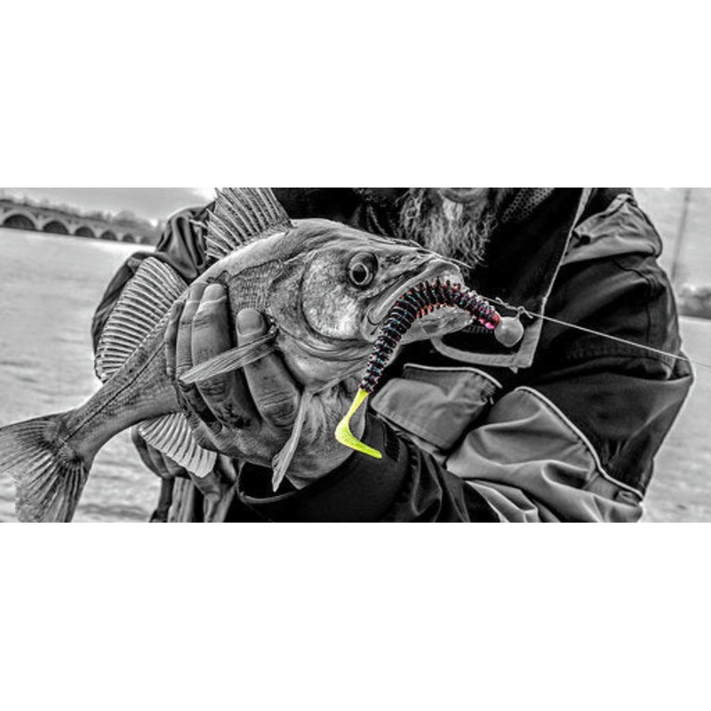 Zipper 5 Original Worm|Black|Black Blue Flake|Bubble Gum|Gourd Green|Green Pumpkin|Green Pumpkin Blue Flk.|Green Pumpkin UV added|Hologram Shad|Junebug|June Bug Chartreuse Tail|Pumpkin Chartreuse Tail|Red Bug|Watermelon|Watermelon Red