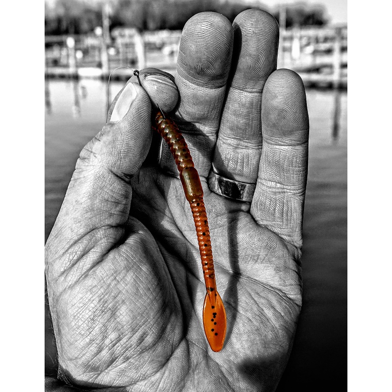 Case Walleye Worm|Amber|Amber Pepper Seed|Anti-Freeze|Avocado|Black|Brown|Bubble Gum|Chameleon|Chartreuse Green Flake|Chocolate|Dirty Goldfish|Green Pumpkin Black Seed|Green Pumpkin UV Added|Silk Chartreuse|Watermelon Black Seed|Watermelon Candy|Wonderbre