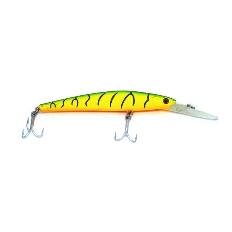 Cassan Barramagic Hard Bait Lures | 12 Cm | 21 Gm | Suspending |