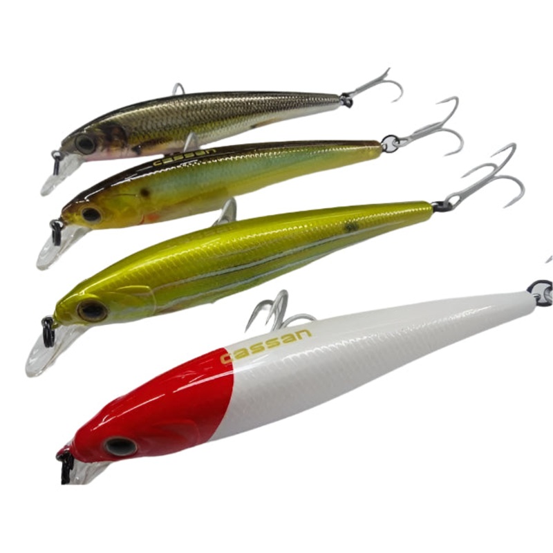 Cassan Enticer Hard Plastic Lures | 12 Cm | 22 Gm | Suspending