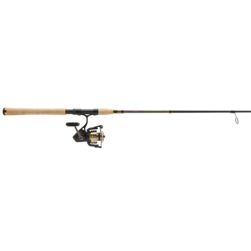 PENN Battle IV Spinning Rod & Reel Combo