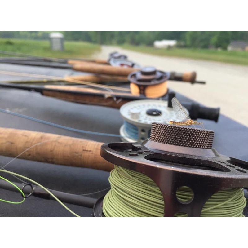 Modern Trout Moss Green|MOSS GREEN|WF3F|WF4F|WF5F|WF6F