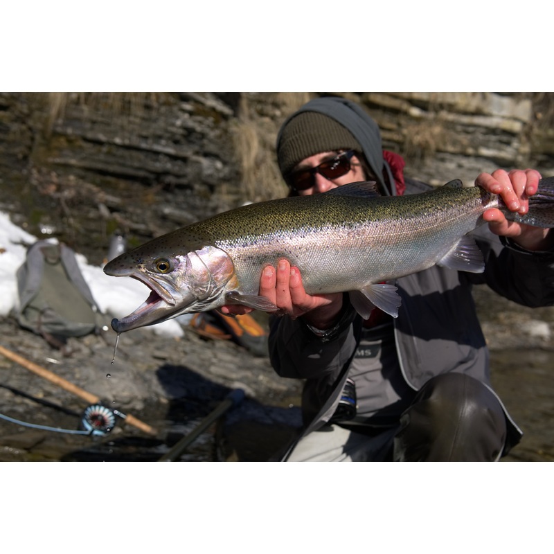 Big Shot|SKY BLUE|WF5F|WF6F|WF7F|WF8F|WF9F