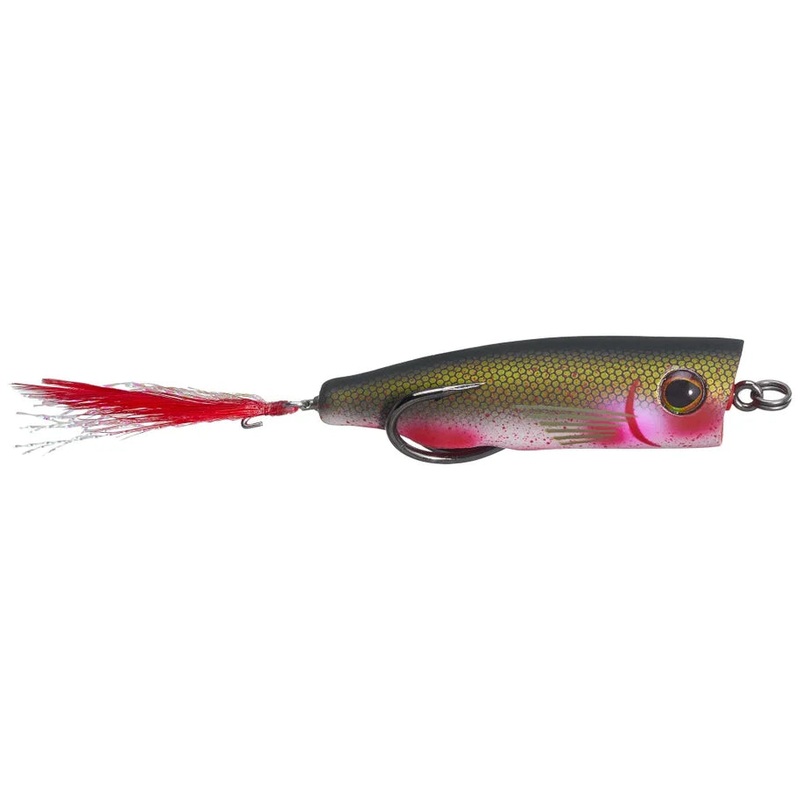 Snag Proof Zoo Pop Popper|Bone|Bloody Shad|Tennessee Shad|Sexy Shad