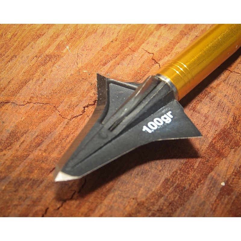 Kayuga Pilot Cut Gen 2|100GR|150GR|125GR|175GR