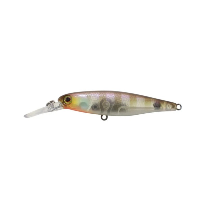 Jackall Squirrel 61|BANANA|PINK EYE SUJI|UROKO HL CHARTBACK B/GILL|WATERMELON SEED|GHOST SHRIMP|GHOST GILL|BROWN DOG|CLEAR CHARTREUSE TIGER|SNUB NOSE