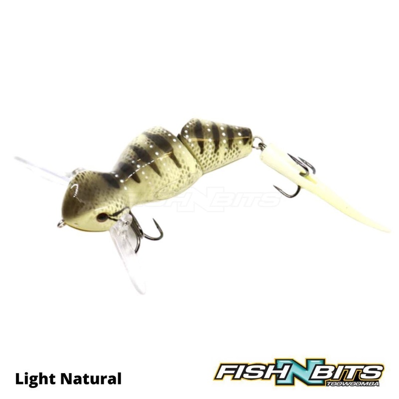 Barambah – Baby Bidjiwong|Light Natural|Ghost Dragon|Green Dragon|Purple Lava|Dark Natural|Pink Dragon