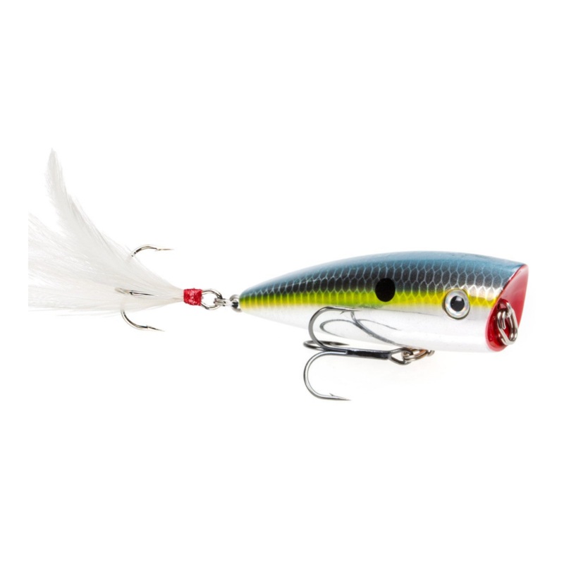 Strike King KVD Splash|Chrome Sexy Shad|Sexy Shad|Gold Sexy Shad|Bone|One Size