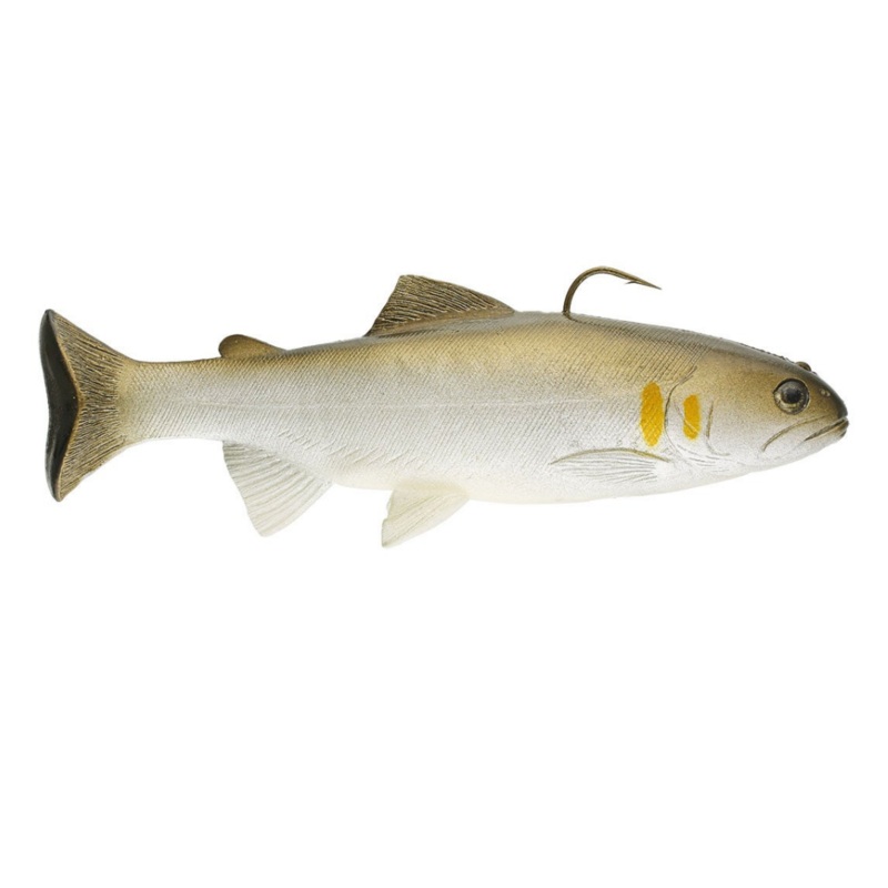 Huddleston 8 in. Swimbait|Ayu|Golden Shiner|8 in.|5|12