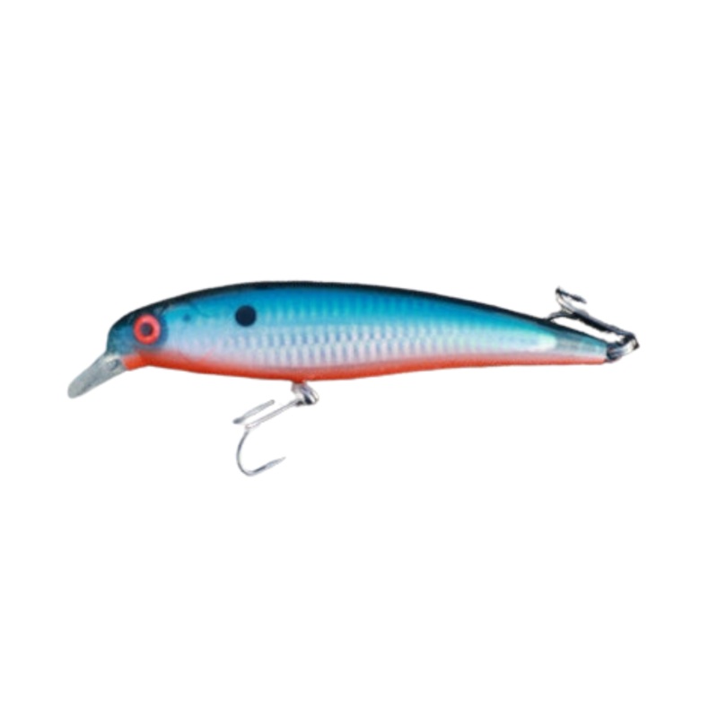 Peacock Minnow 6|Blue Shinner|Red Head|Fire Tiger