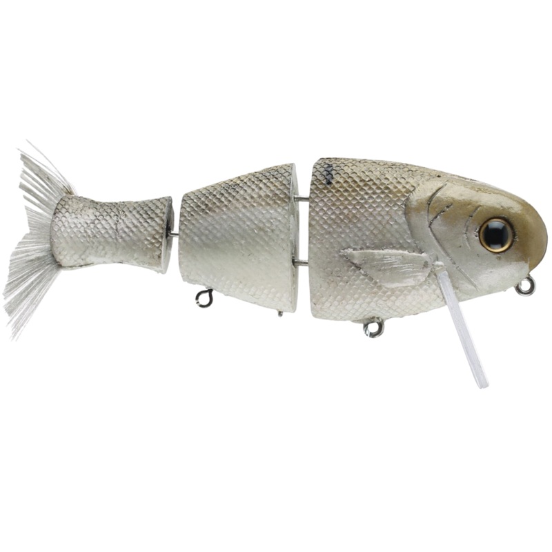 Bull Shad Wake Shad|Gizzard|Bone|Gill