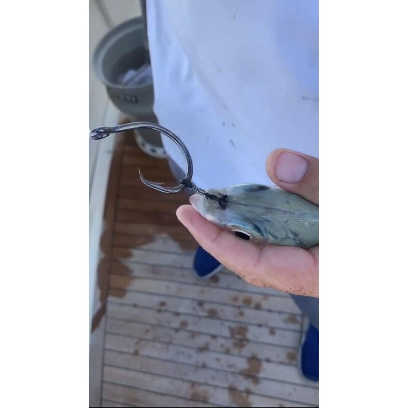 Ringer Swivels – Live Bait Swivels