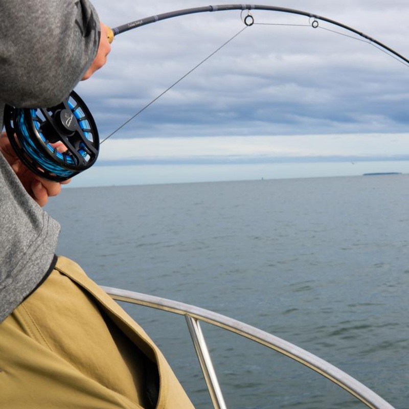 Cortland – Cold Salt Series – Striped Bass Sink 8 Fly Line