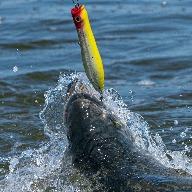 Tsunami – XD Talkin’ Popper|6in – 2 3/8oz|7in – 3 3/8oz|Wonder Bread|Green Mackerel|Bunker|Electro School Bus|Yellow/Red Head|Blue Mackerel|Bone w/ Red Gill Eye