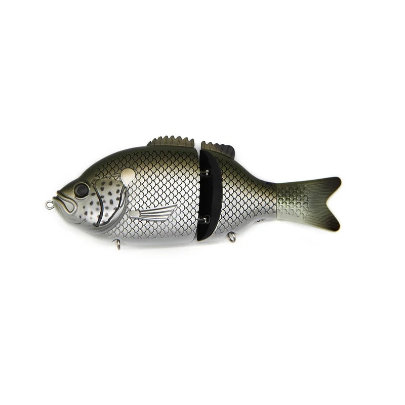 Baitsanity – Explorer Gill|Raw|Dark Bluegill|Jungle Perch