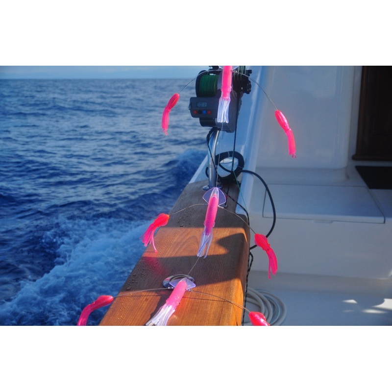 SquidNation – That Flippy Floppy Thing