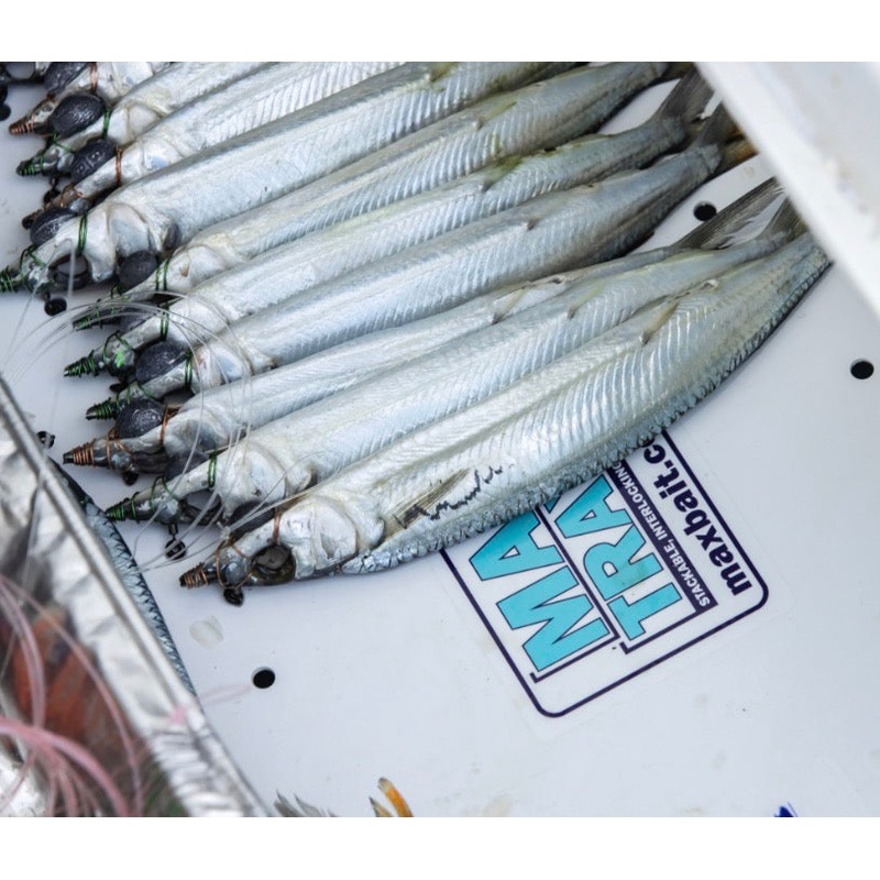 Fish Razr – Max Bait Trays|MX18T – Yeti 45 Thin Tray|MX18D – Yeti 45 Deep Tray|MX23T – Yeti 65 Thin Tray|MX23D – Yeti 65 Deep Tray|MX22T – Yeti 105 Thin Tray|MX22D – Yeti 105 Deep Tray|MX25T – Yeti 75 Thin Tray|MX25D – Yeti 75 Deep Tray