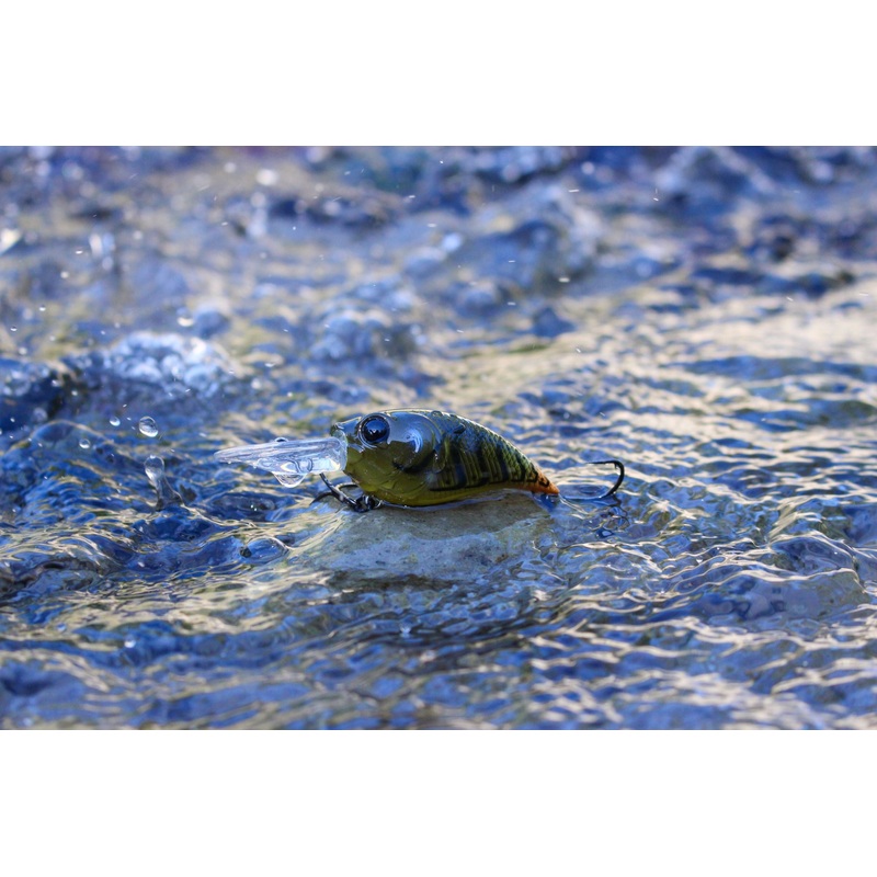 Curve 55 – Ozark Craw|3/8oz.