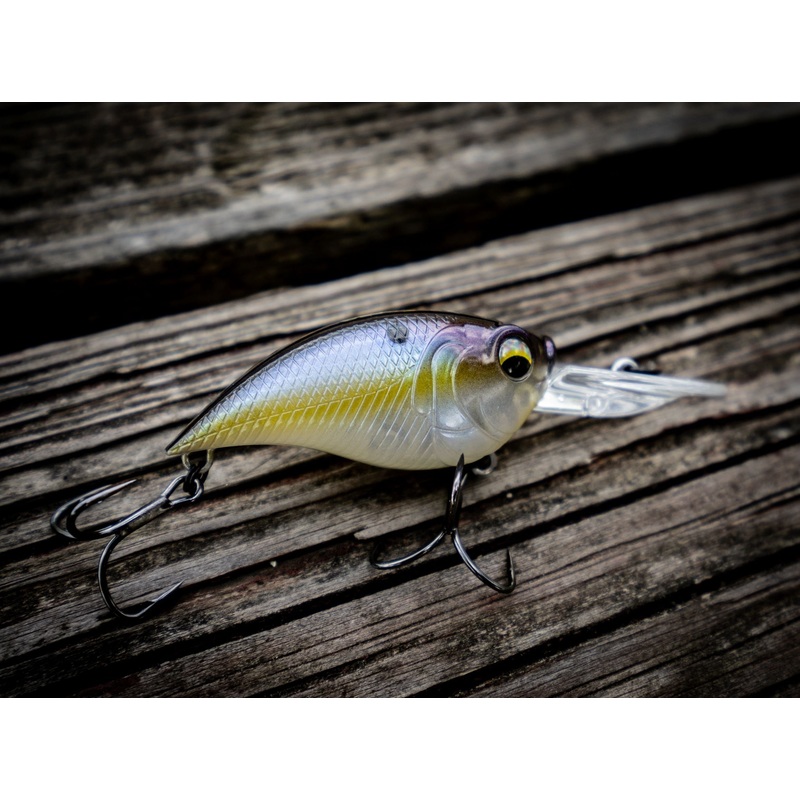 Curve 55 – Shad Sense|3/8oz.