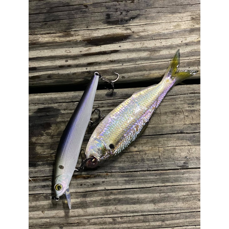 Provoke Series – 4K Shad|97X|97SI (Silent)|97DD|97DDSI (Silent)|106X|106SK (Slow Sink)|106SI (Silent)|106DD|106DDSI (Silent)