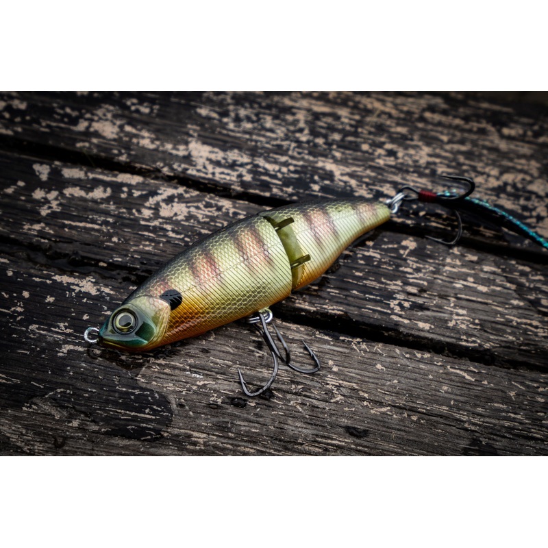 Speed Glide 100 – Bluegill Fire