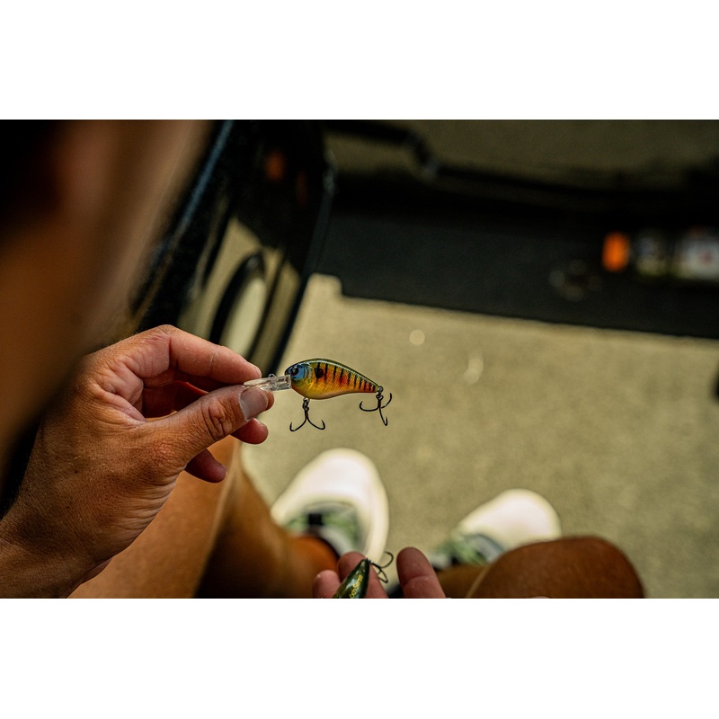 Crush Mini 25MD – Custom Bluegill