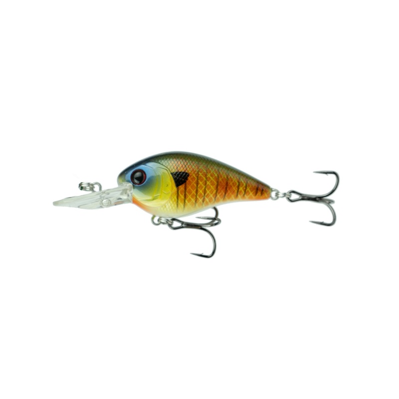 Crush Mini 25MD – Custom Bluegill