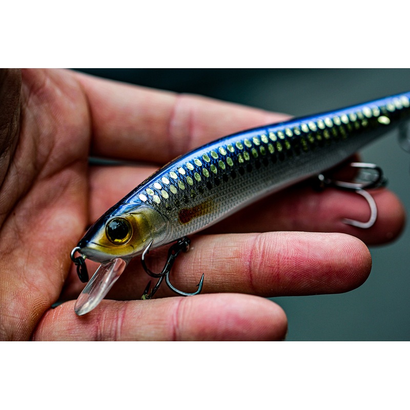 Provoke Series – Live Shiner|106X