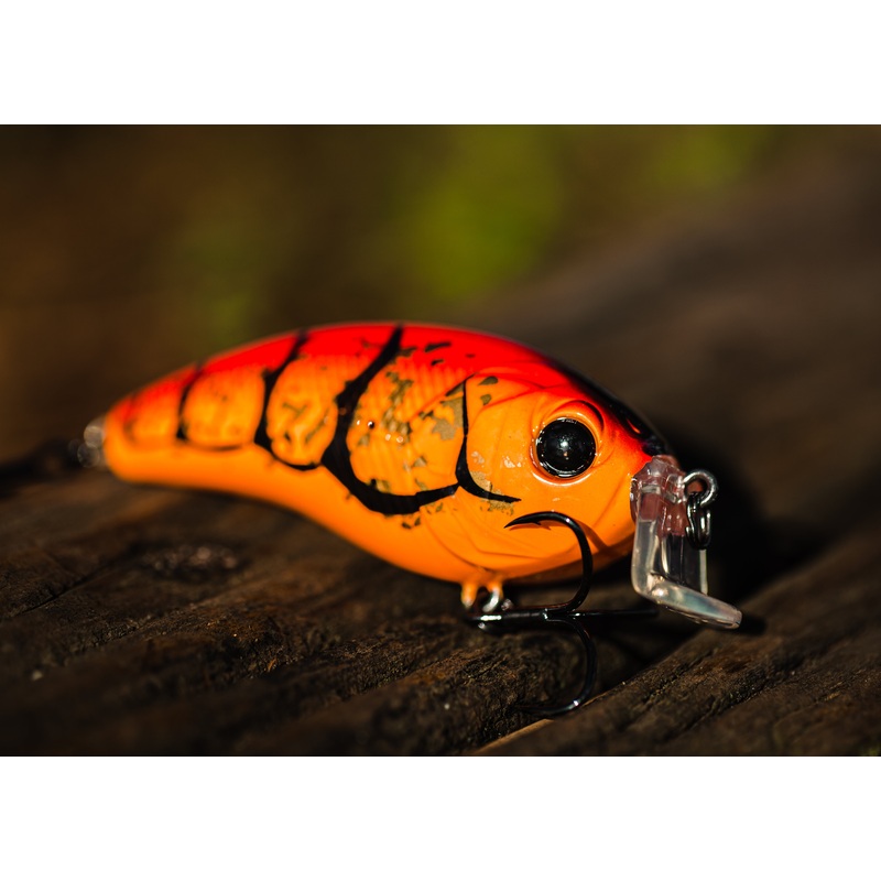 Swank Series – Boiled Crawfish