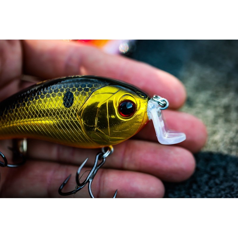 Swank Series – Gold Reactor|66X|77X