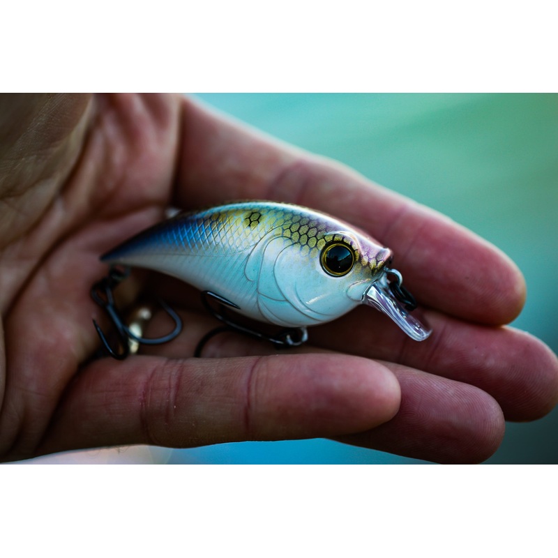 Curve Finesse Squarebill – 4K Shad