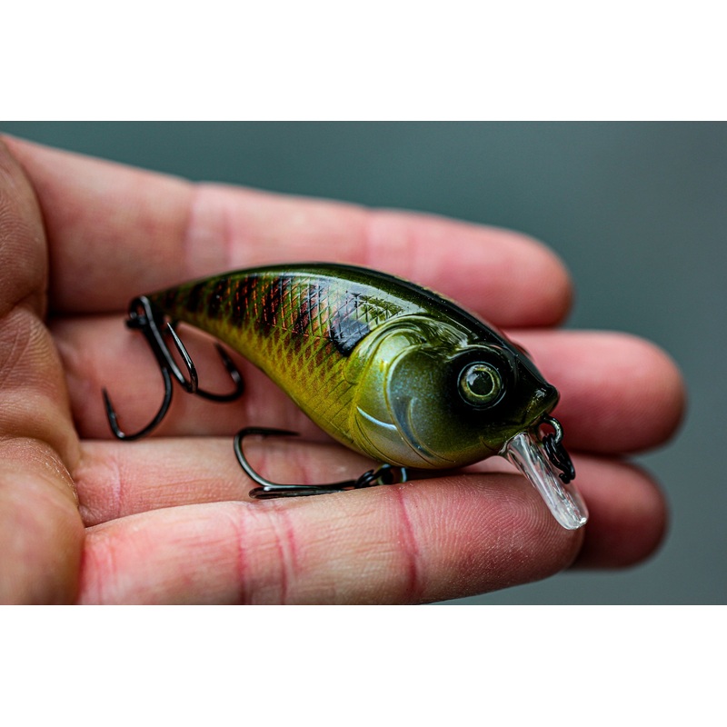 Curve Finesse Squarebill – Gilliken