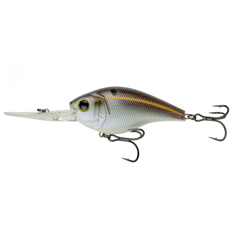 Cloud 9 – Gizzard Shad|C15|C25