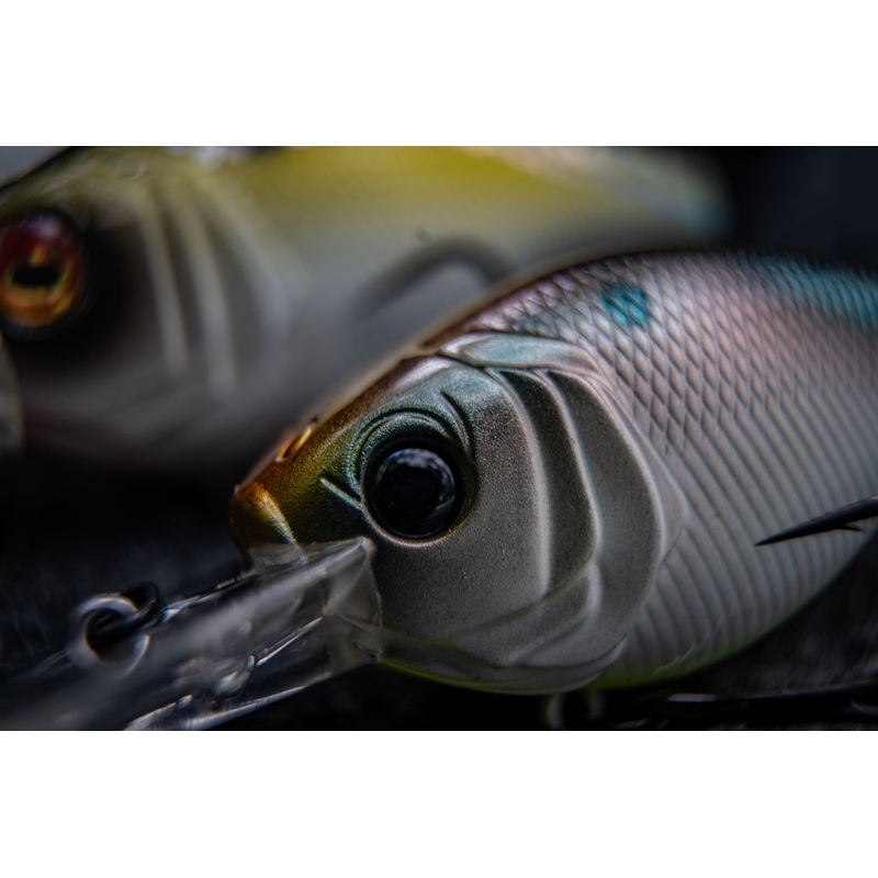 Cloud 9 – Shad-Treuse|C6|C15|C20