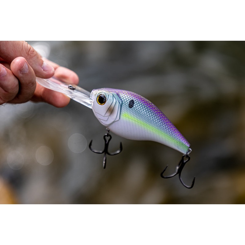 Cloud 9 – Wild Shad|C6|C10|C15|C20|C25