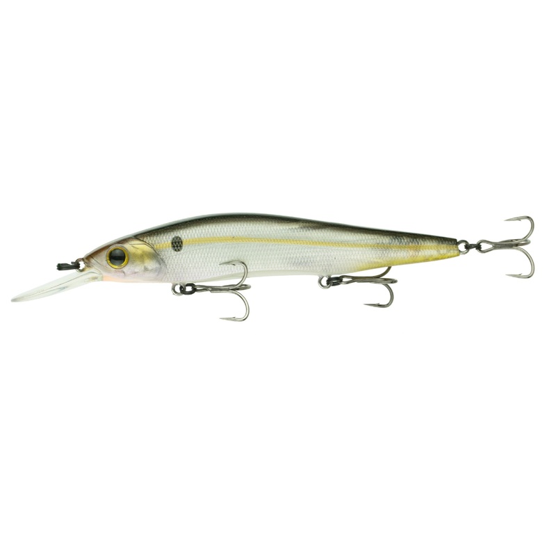 Provoke Series – Ghost Threadfin Shad
