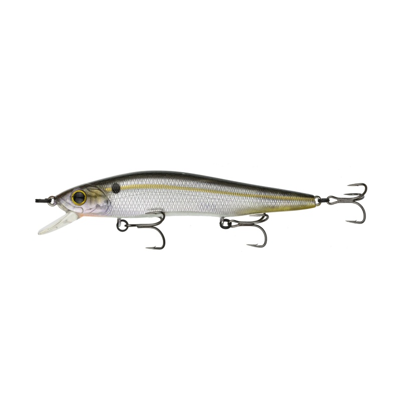 Provoke Series – Ghost Threadfin Shad