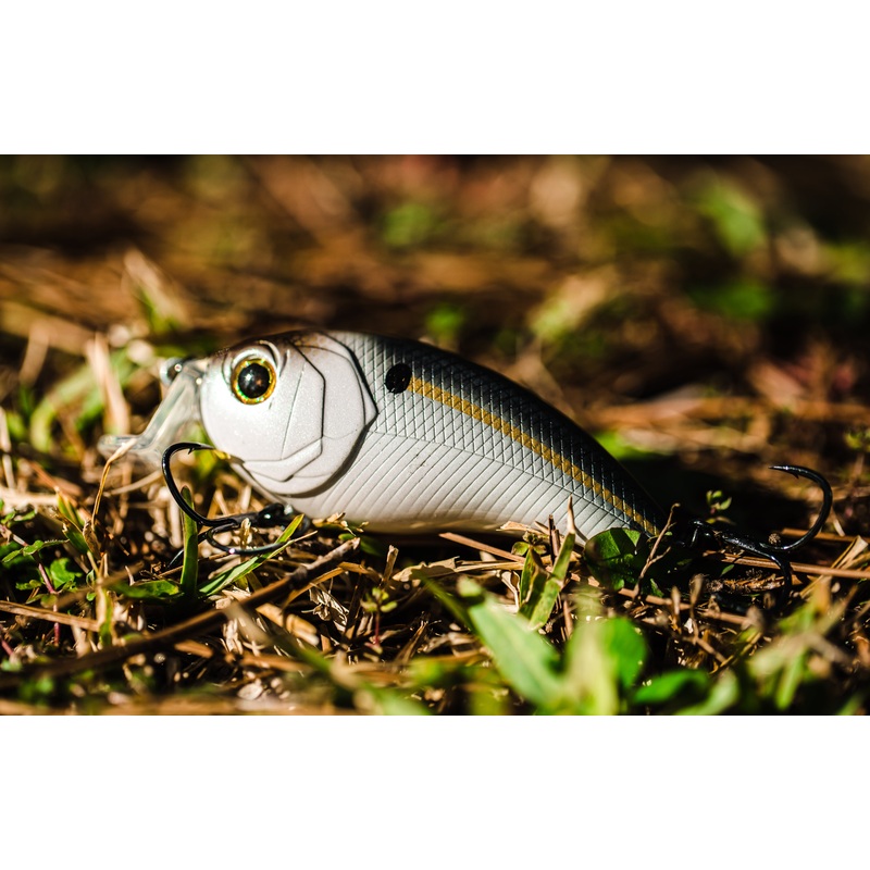 Swank Series – Threadfin Shad|77X