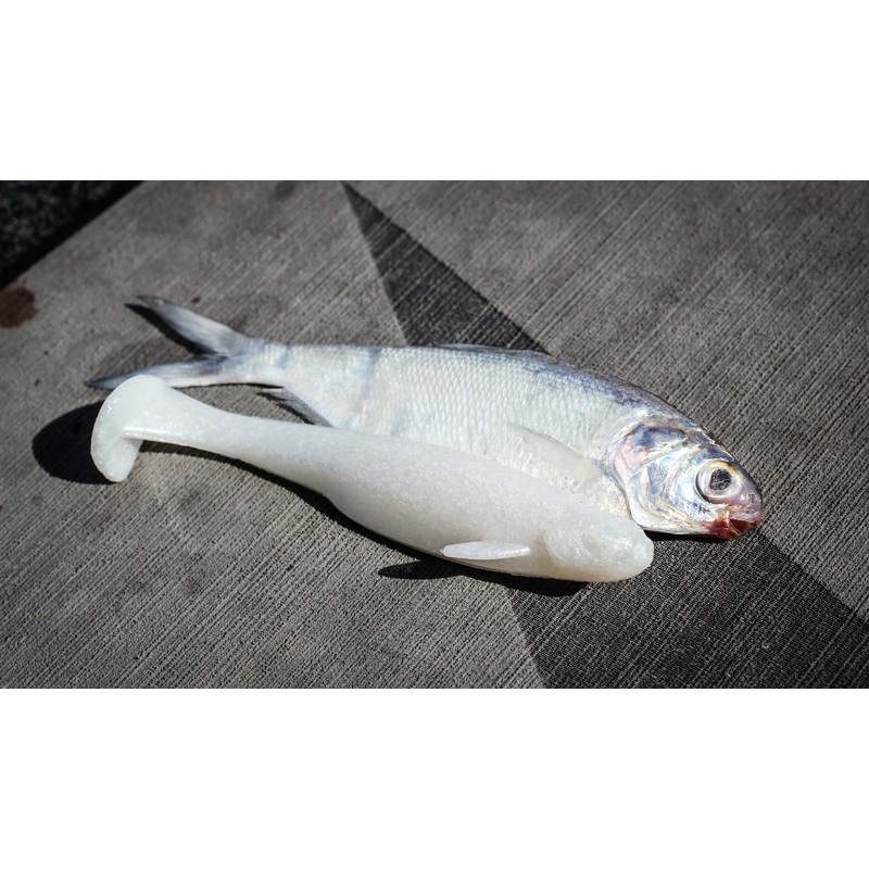 Whale Swimbait – Pearl White|4.5in (5/pk)