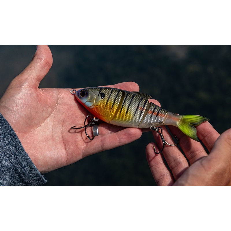 Trace 6 – Bluegilla|Slow Sink|Fast Sink