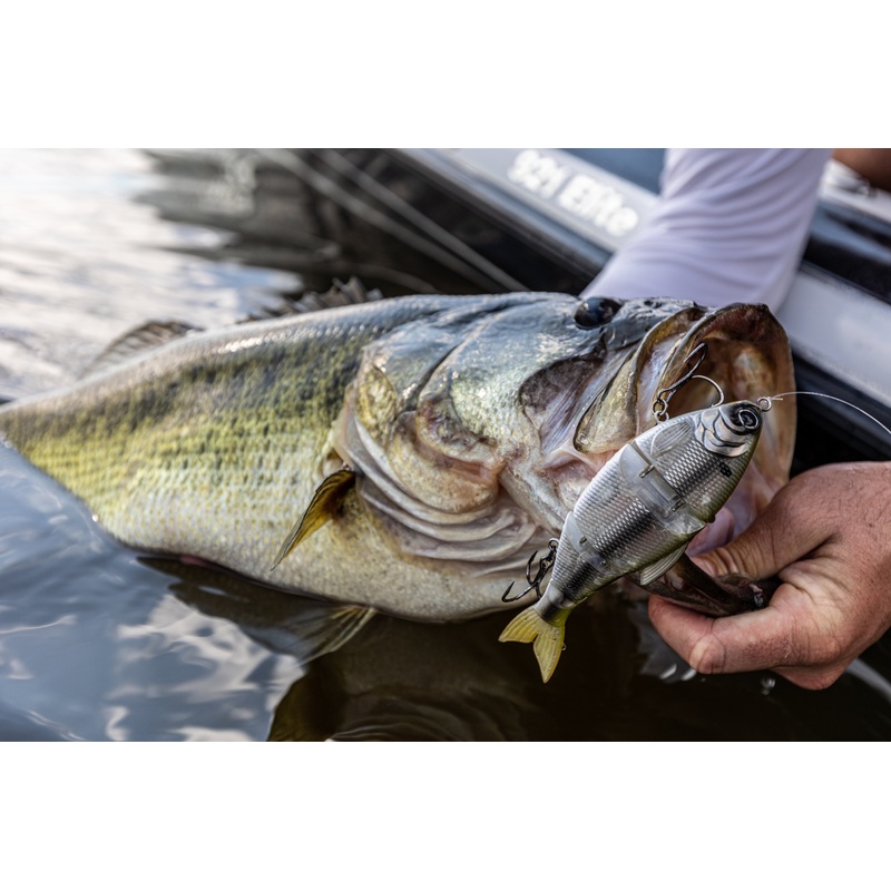 Trace 6 – Shad Burst|Slow Sink|Fast Sink