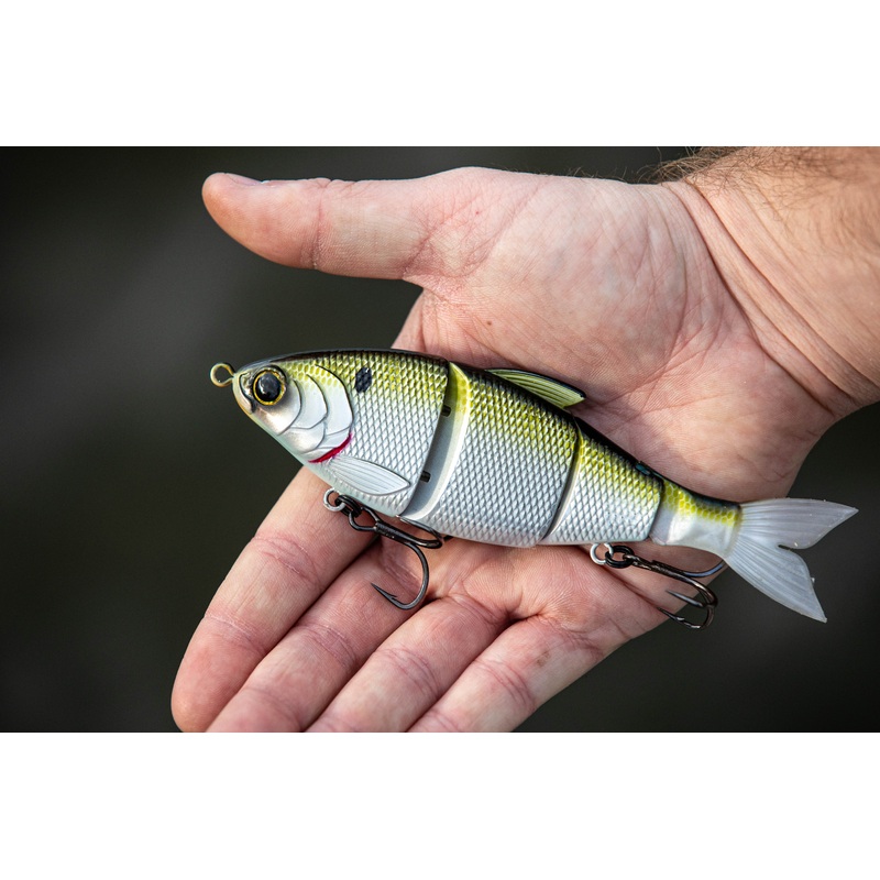 Trace 6 – Shad Hammer|Floating|Slow Sink|Fast Sink