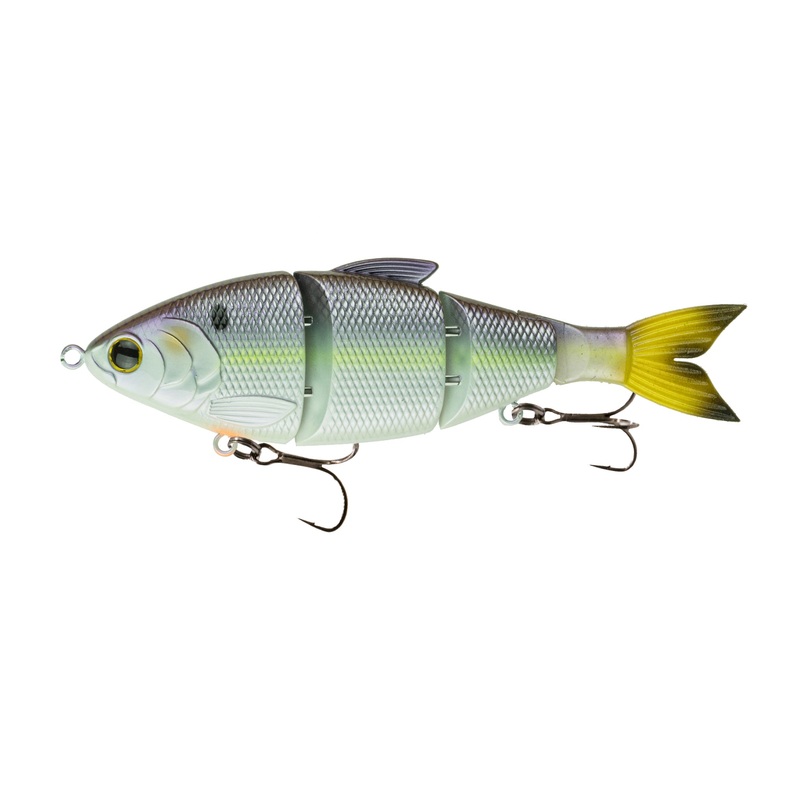 Trace 6 – Wild Shad|Floating|Slow Sink|Fast Sink