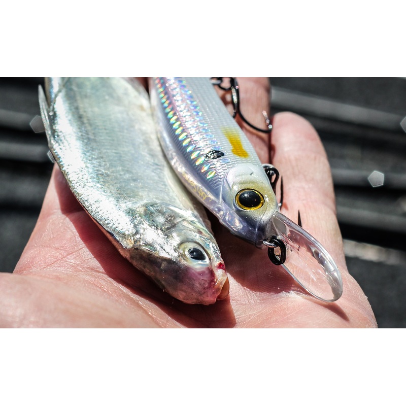 Provoke DD Series – Shad Pro|106DD