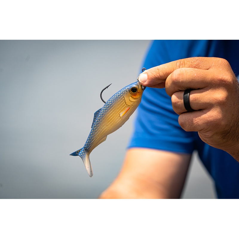 Sweep – Live Shiner|6in. (2/pk)